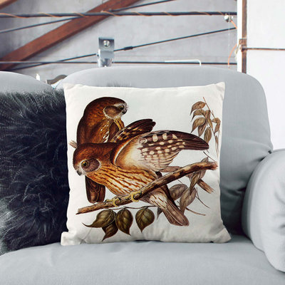 Boobook Owls Square Throw Cushion