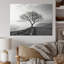 «A Beautiful Tree In Lakeside Scenery», reproduction sur toile-1680764049-1680764048