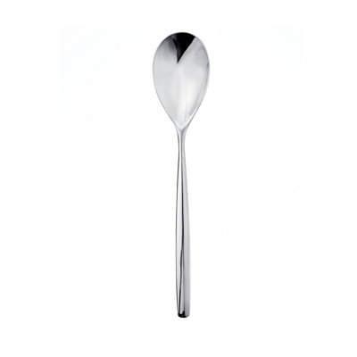 Stiria Stainless Steel Serving Spoon