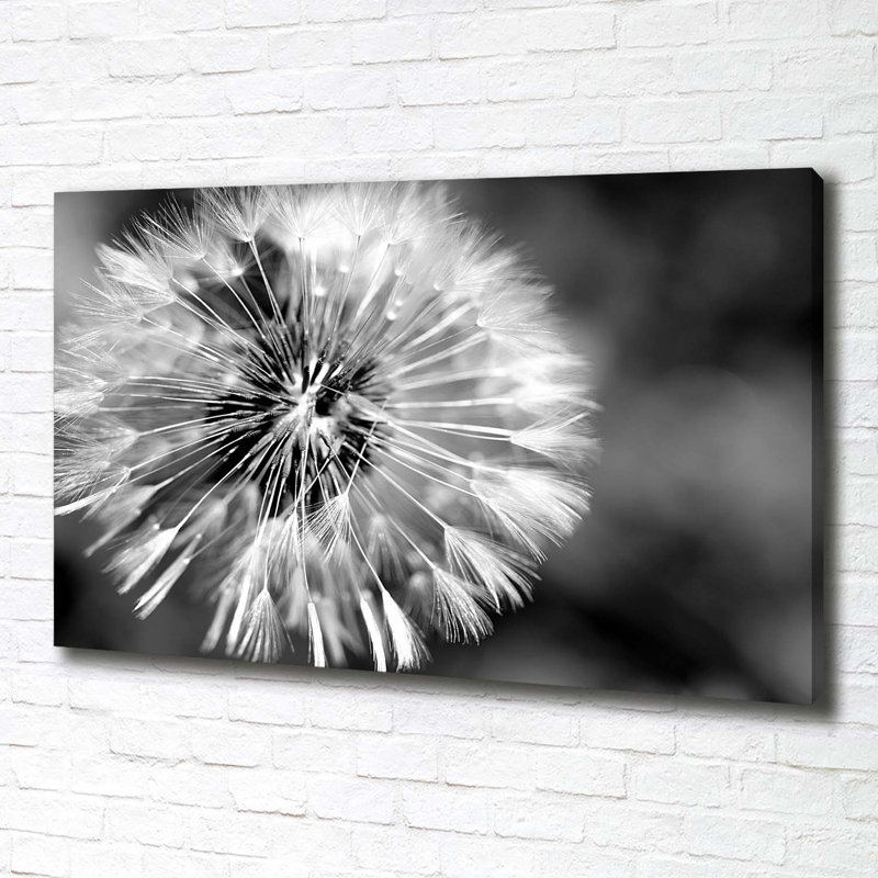 Dandelions - No Frame Print on Canvas