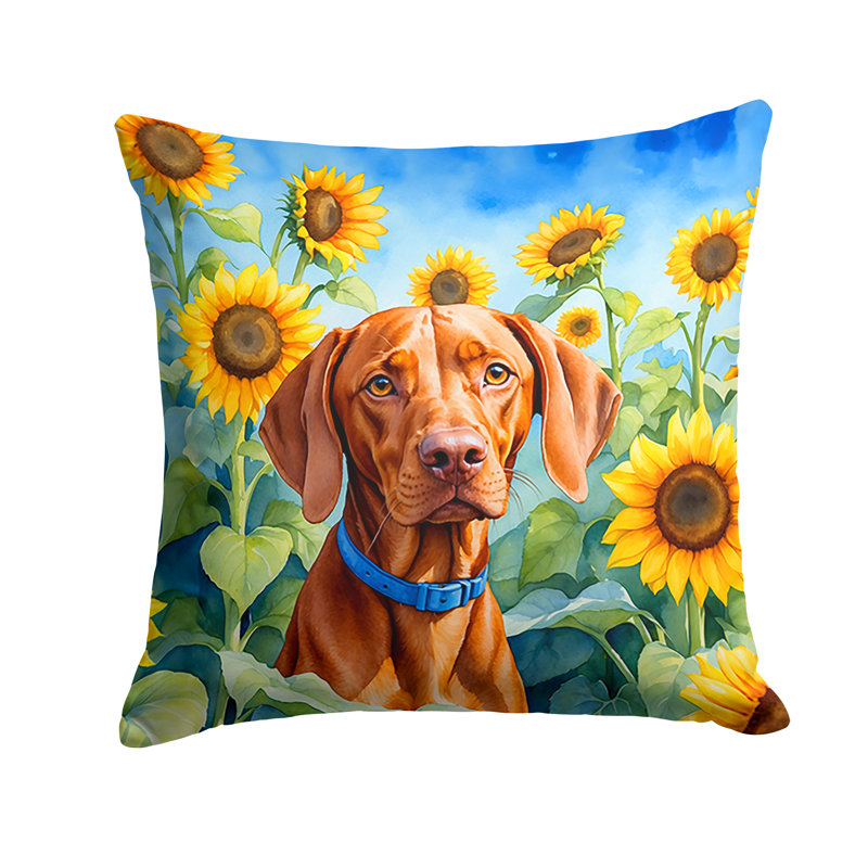 Coussin décoratif intérieur / extérieur Autre / Sans motif, H 18 po x l 18 po