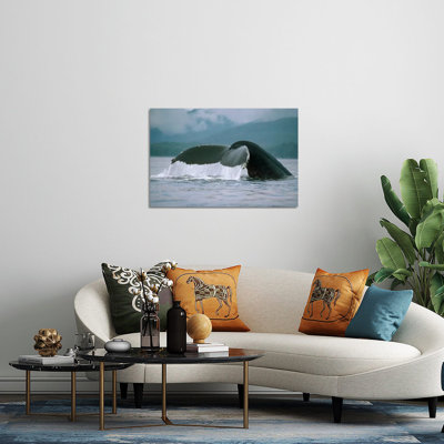 " Humpback Whale Tail, Alaska " by Flip Nicklin