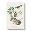 American Redstart Birds by John Audubon - Wrapped Canvas Painting-55368643