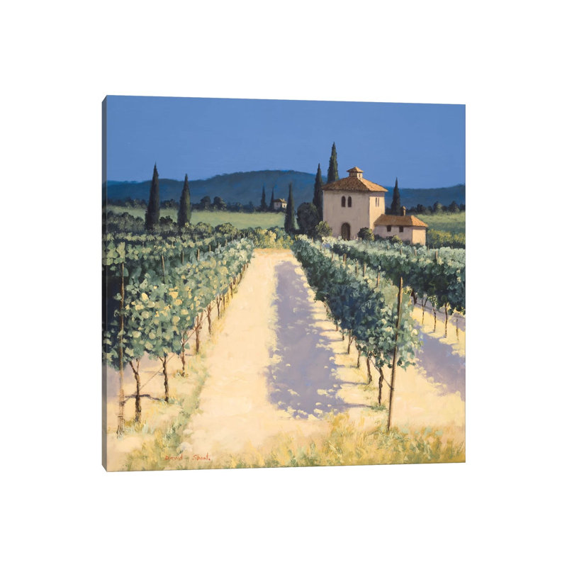 Vineyard Shadows - Wrapped Canvas Print, 93.98cm H x 93.98cm W x 1.91cm D