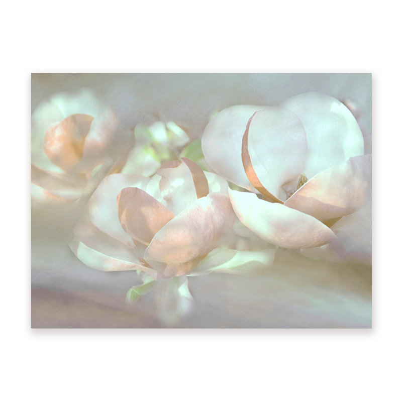 Nature Inspired Magnolia Dreams, 36" H x 48" W x 1.5" D, Wrapped Canvas, Does Not Apply