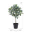 Olive artificielle en pot-748669070