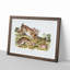 Grey Rabbits by J.W. Audubon - Picture Frame Painting Print-55736102-55736101