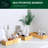 Drawer Organizer