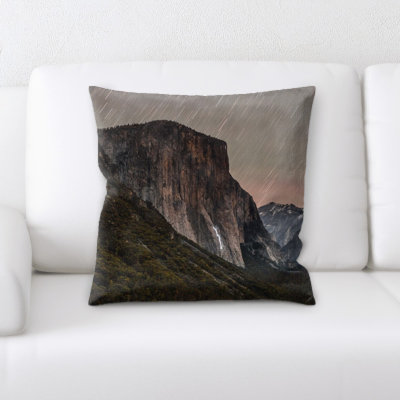 Landis Throw Pillow
