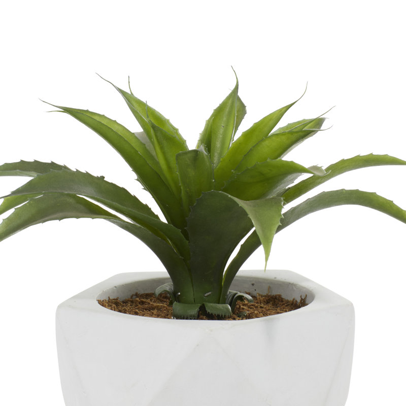 9.75'' Faux Agave Plant in Ceramic Vase
