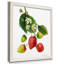 "Strawberry Study I", reproduction d’art encadrée-1621515351-1620639816-1620639819