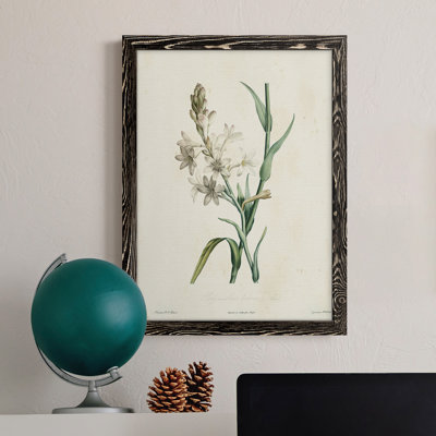 Toile encadrée de qualité supérieure Traditional Botanical IV - prête à être accrochée