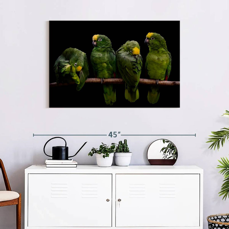 Crowle Crowned Parrots, 24" H x 36" W