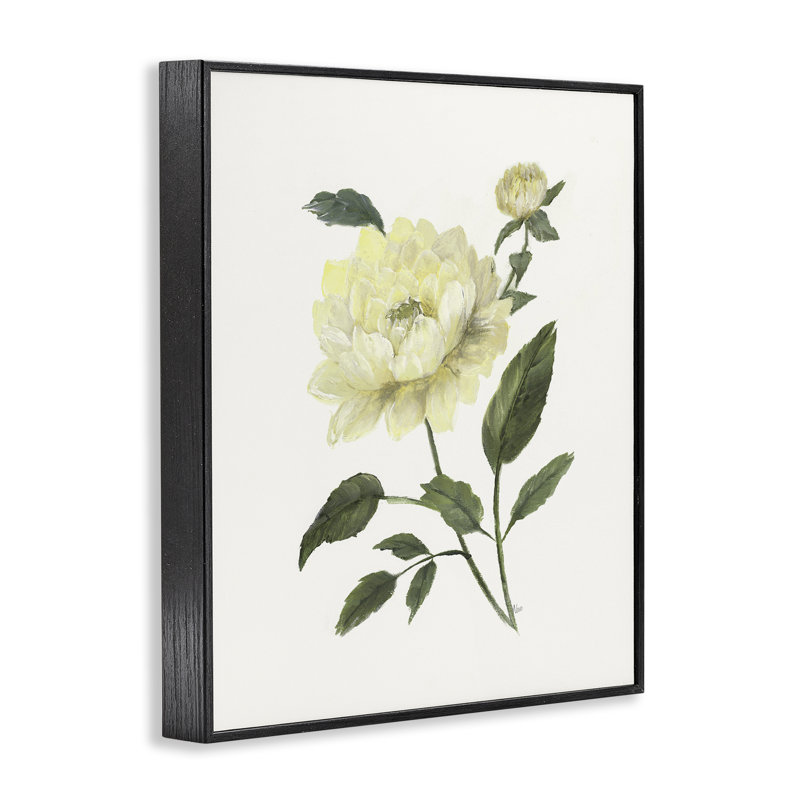 Pivoine de jardin crème avec bourgeons, estampe numérique, design par Nan, H 30 po x l 24 po, Giclée noire de minuit encadrée