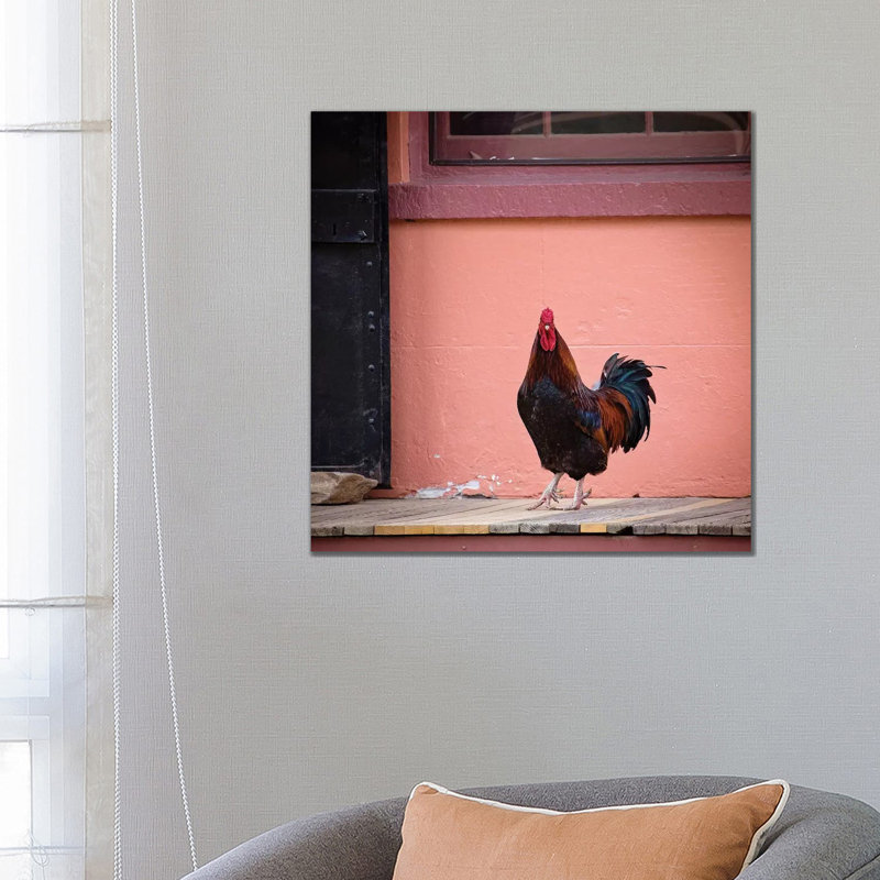 Rooster Portrait 1 Piece Wrapped Canvas Wall Art, 66.04 cm H x 66.04 cm W