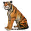 Statue tigre du Bengale