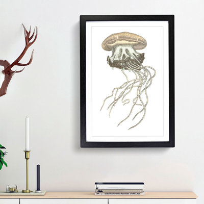 Crown Jellyfish by George Shaw - Framed Print