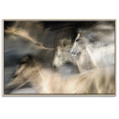 Print on Canvas