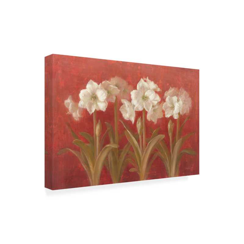 Art sur toile rouge, Danhui Nai, bolologien, H 16 po x l 24 po