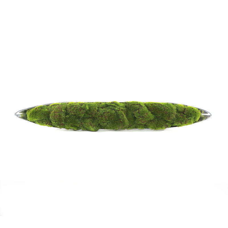 5" Artificial Moss Grass in Boat Tray