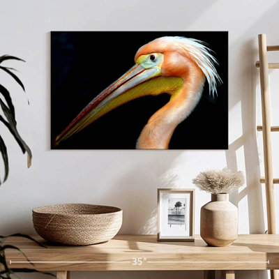 Peach Pelican Profile