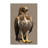 Washable Red shouldered Hawk Birds Area Rug-1256920366