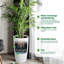 Pot Planter
