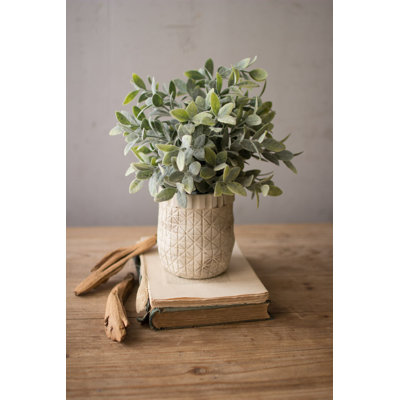  Sauge artificielle avec pot blanc rustique Criss Cross