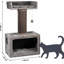 Carrson Scratching Post