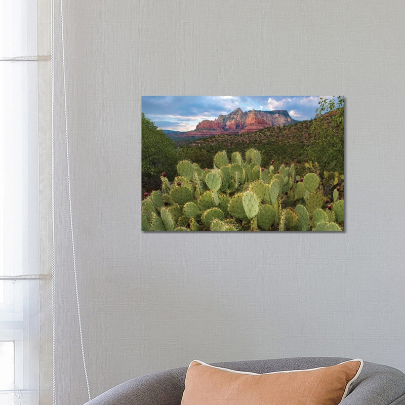 Opuntia Cactus And Mountain, Red Rock-Secret Mountain Wilderness, Arizona by Tim Fitzharris - Wrapped Canvas Print