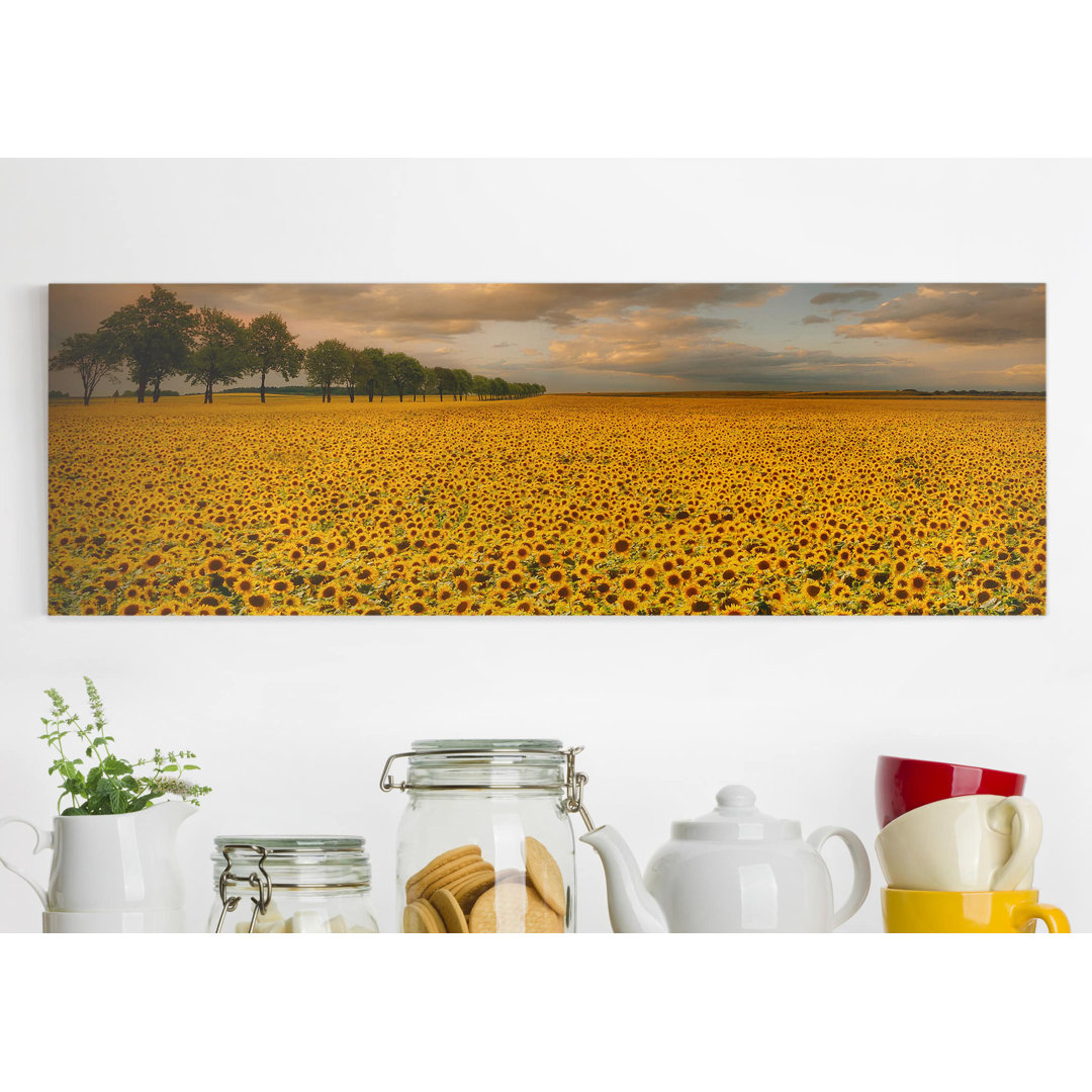 Leinwandbild Sunflower Field