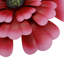 Décoration murale fleur-1358475083