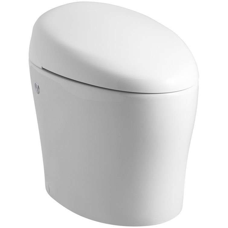 Karing Skirted One-Piece Elongated Toilet with Bidet Functionality