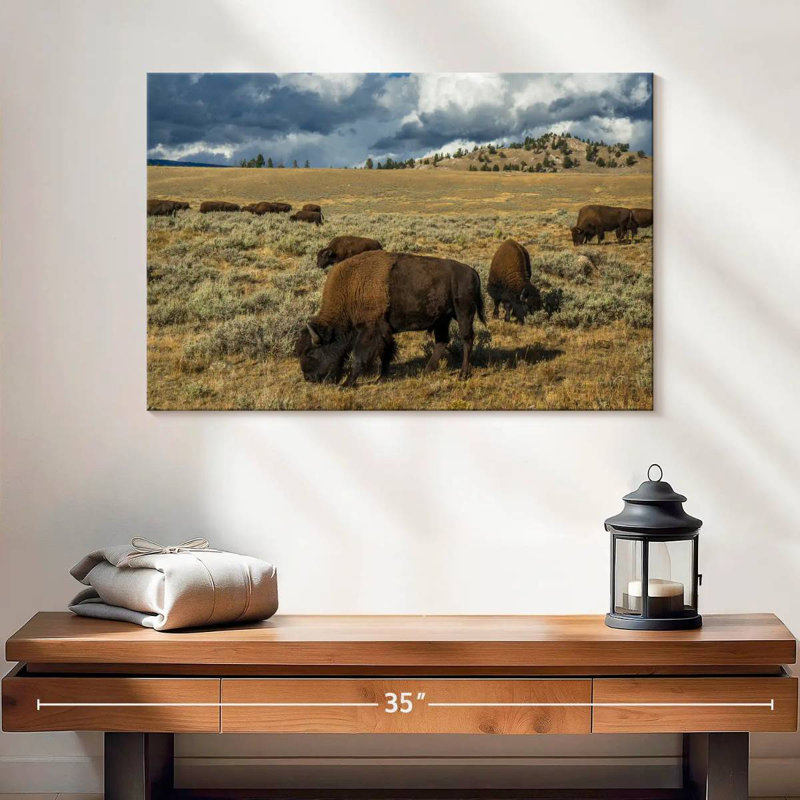 Bison Brampt Yellowstone, H 16 po x l 24 po