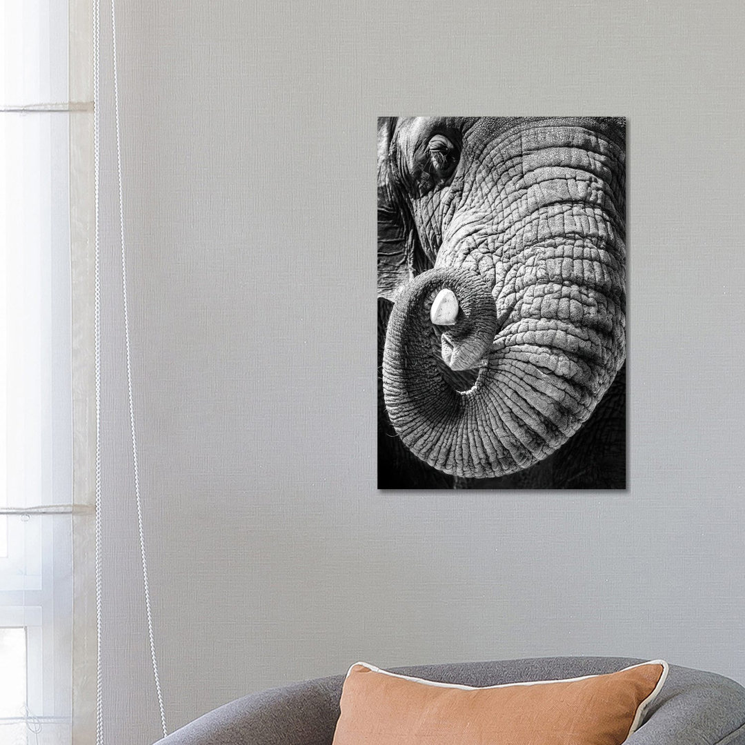 Elephant Curling Trunk Around Tusk - Black And White by Susan Richey - Gallery-Wrapped Canvas Giclée on Canvas