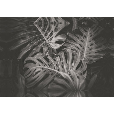 Art Prints