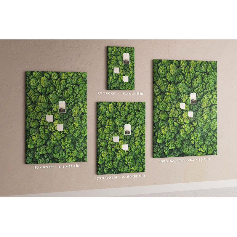 Brendell Cork Corkboard / Bulletin Board