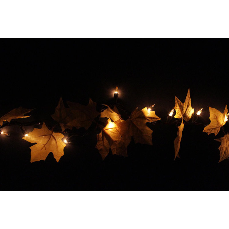 String Lights, Yellow