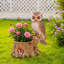 Pot de jardin rustique en polyrésine sur hibou pour décoration intérieure et extérieure