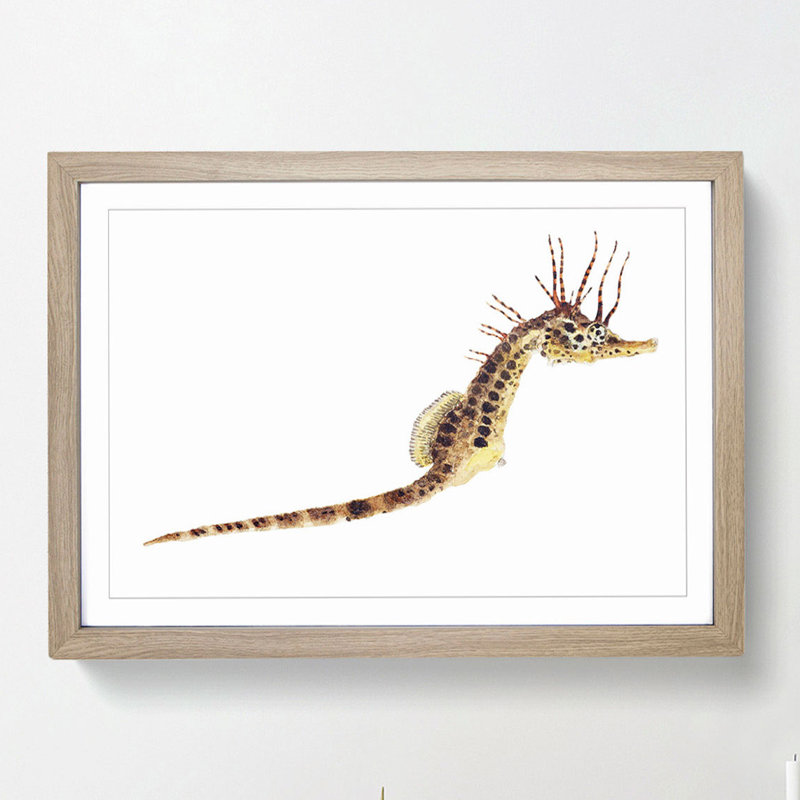 Illustration of a Seahorse by F.E. Clarke - Picture Frame Painting Print on MDF, 27cm H x 36cm W x 2cm D, Oak Framed
