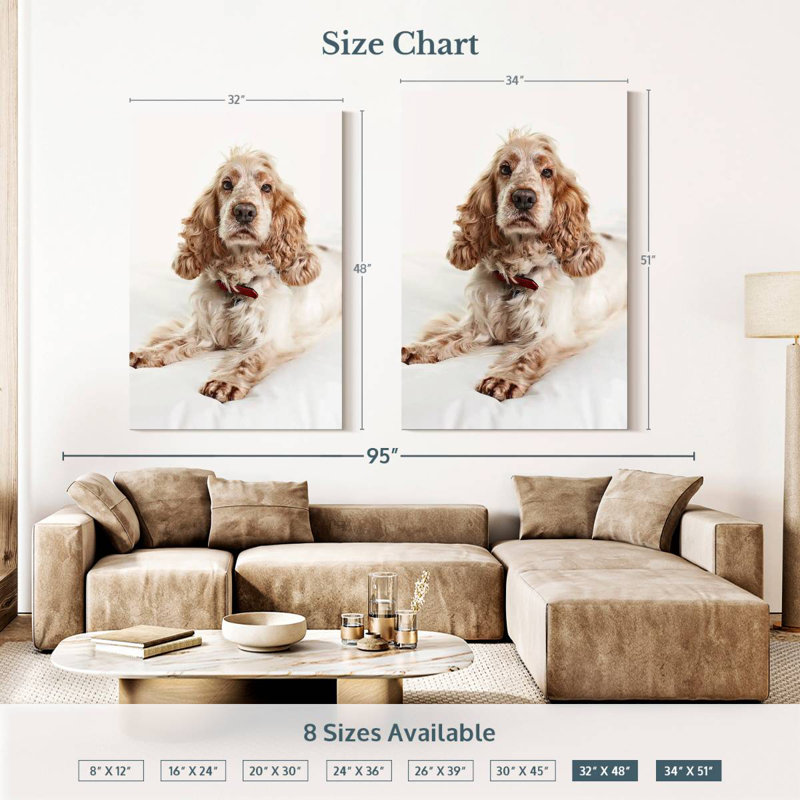 Resting Cocker Spaniel, 51" H x 34" W