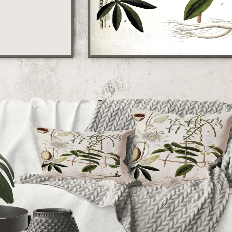 Coussin Vintage Plant Life IV - Farmhouse, 18" x 18"