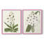 Impression encadrée Flore Albo I-Premium - prête à être accrochée - aucun clou requis - aucun clou requis-708635325-708635327