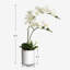 Arrangement de soie orchidée en pot-1709239945