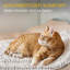 Walthill Pet Bed Accessory