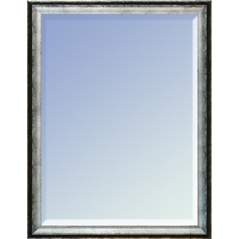 Miroir d'appoint Makaylla, 20 po x 24 po, Argent