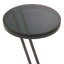 Falcone Glass End Table-1370794224