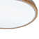 LED Flush Mount