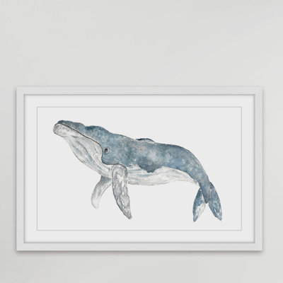 'Humpback Whale' by Thimble Sparrow Framed Print