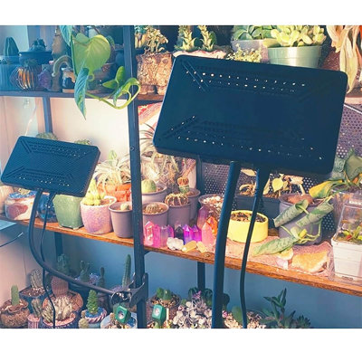 Corrigan Studio Grow Light